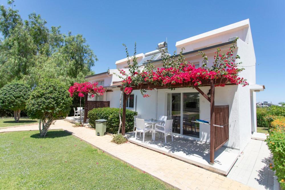 Citrus Tree Gardens Ξενοδοχείο Καραβάς Εξωτερικό φωτογραφία
