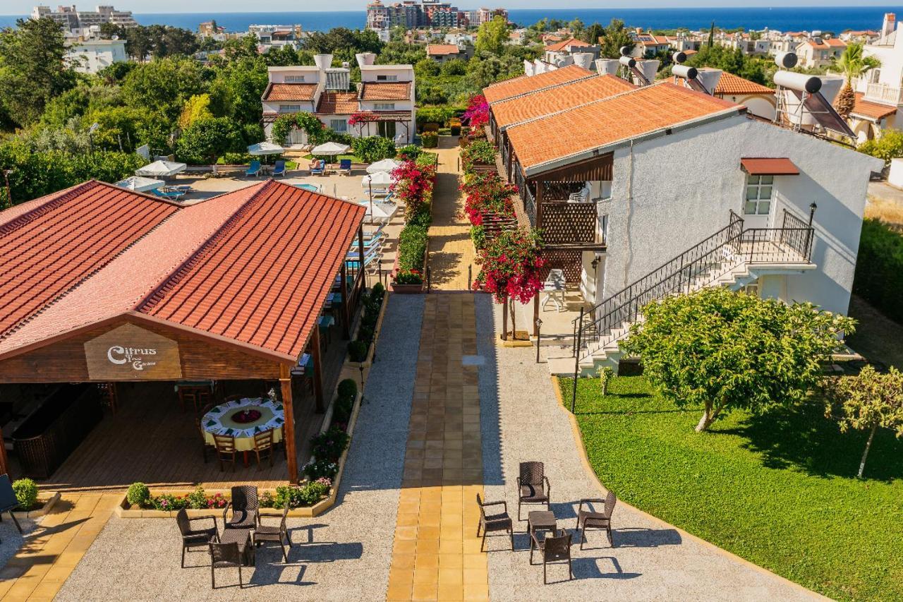 Citrus Tree Gardens Ξενοδοχείο Καραβάς Εξωτερικό φωτογραφία
