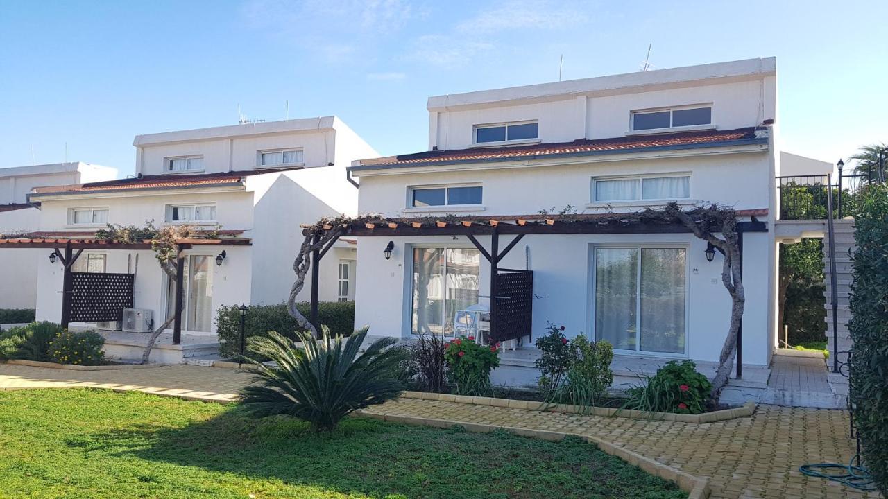 Citrus Tree Gardens Ξενοδοχείο Καραβάς Εξωτερικό φωτογραφία