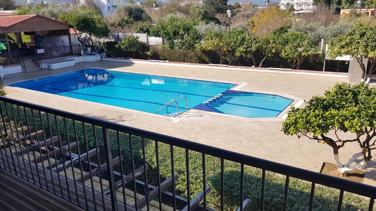 Citrus Tree Gardens Ξενοδοχείο Καραβάς Εξωτερικό φωτογραφία